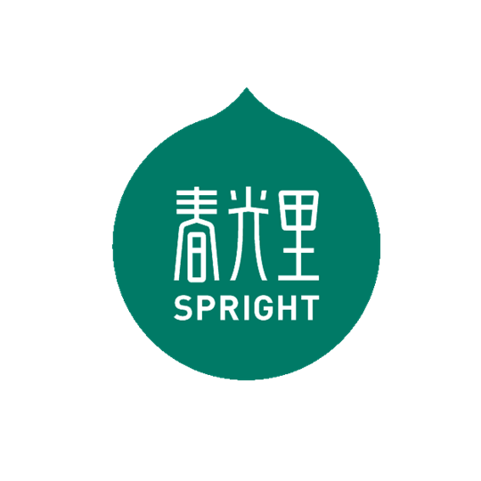 春光证券资本