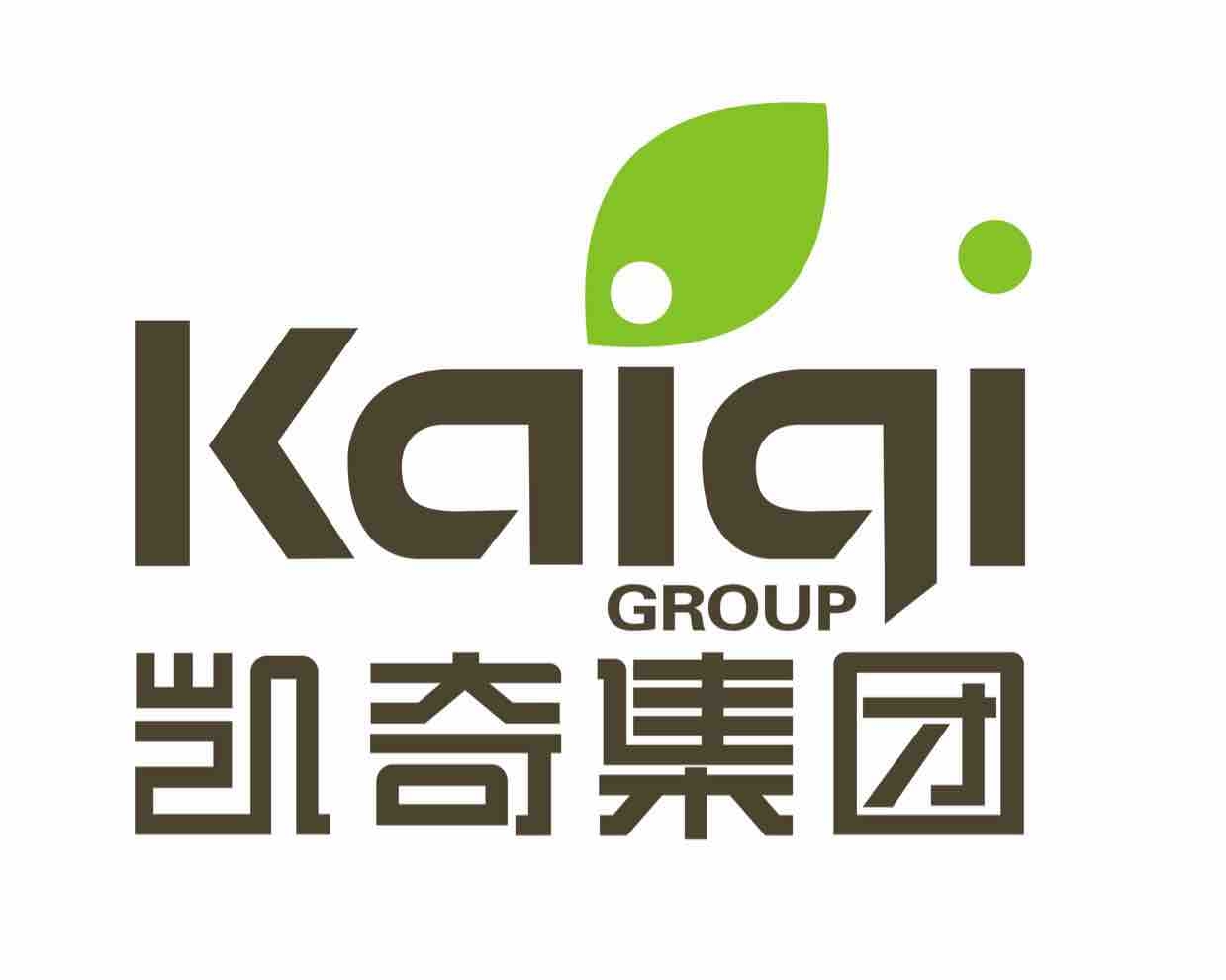 凯奇集团